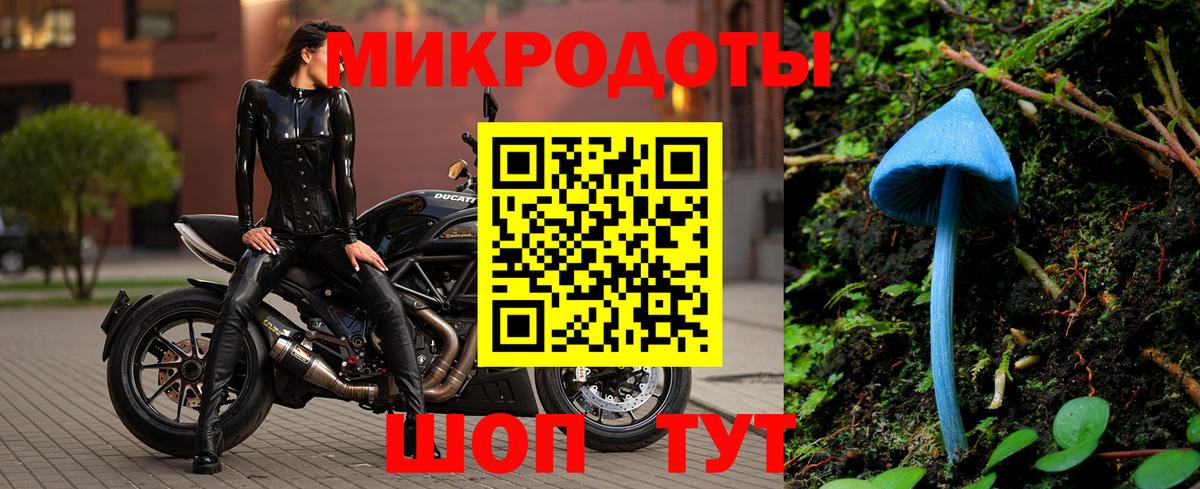 Галлюциногенные грибы Psilocybine cubensis  Вход с VPN  Псилоцибиновые грибы прущие грибы  Татарск 